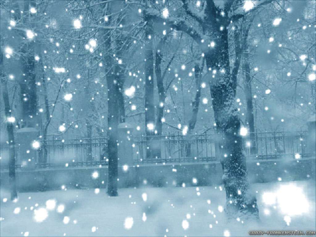 Falling Snow Wallpaper Animated Image Pictures Becuo