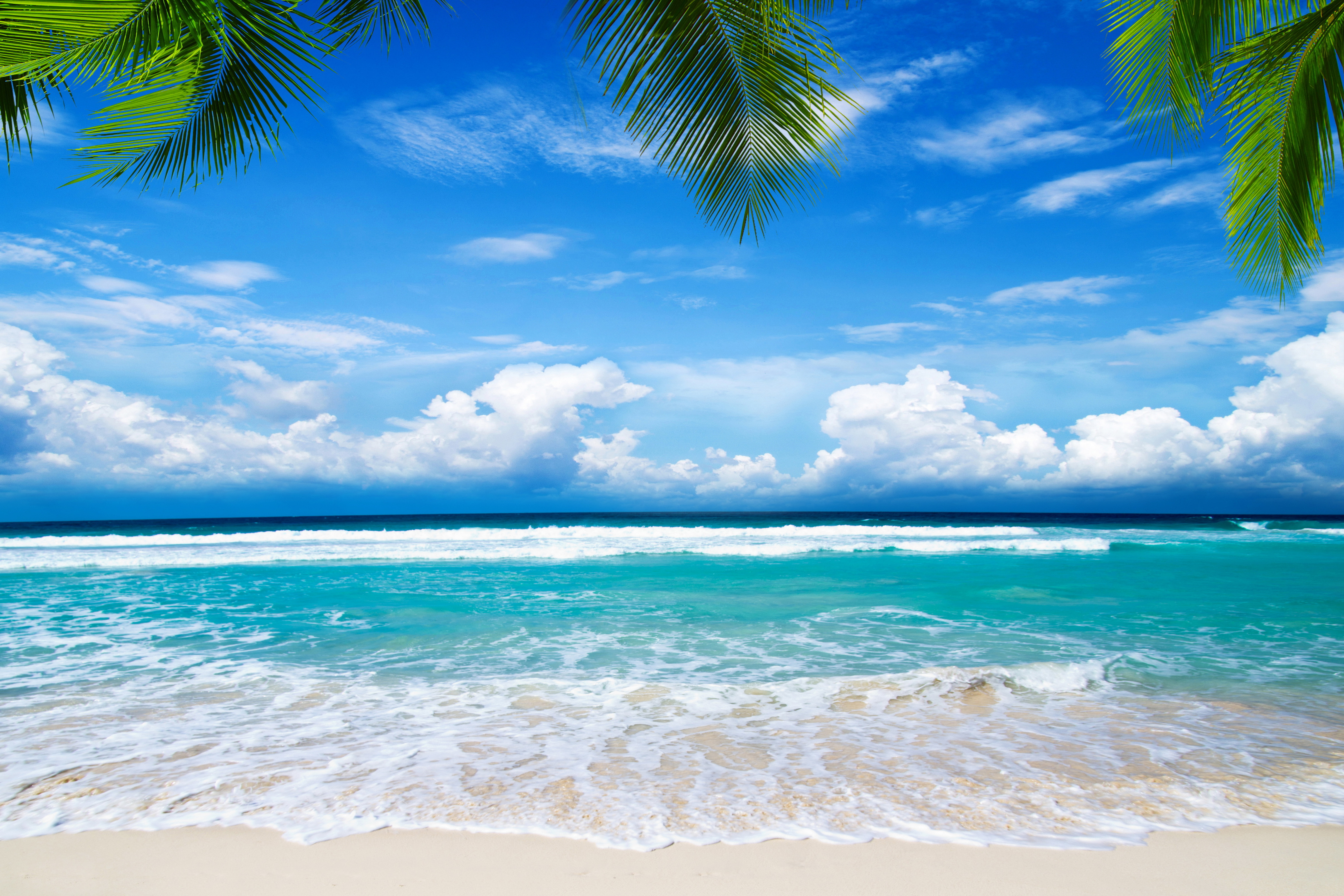 Tropical Horizon Nature Sky Cloud Ocean 4k Ultra HD Wallpaper