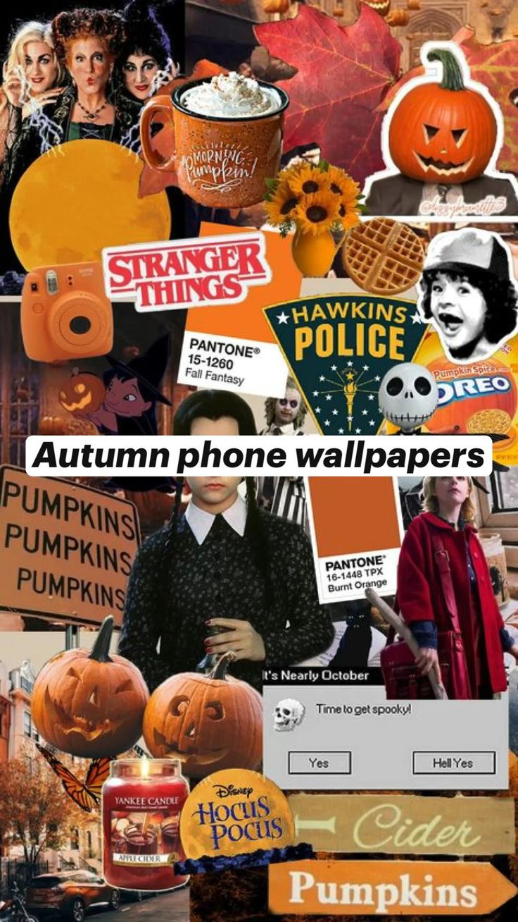 Autumn Phone Wallpaper