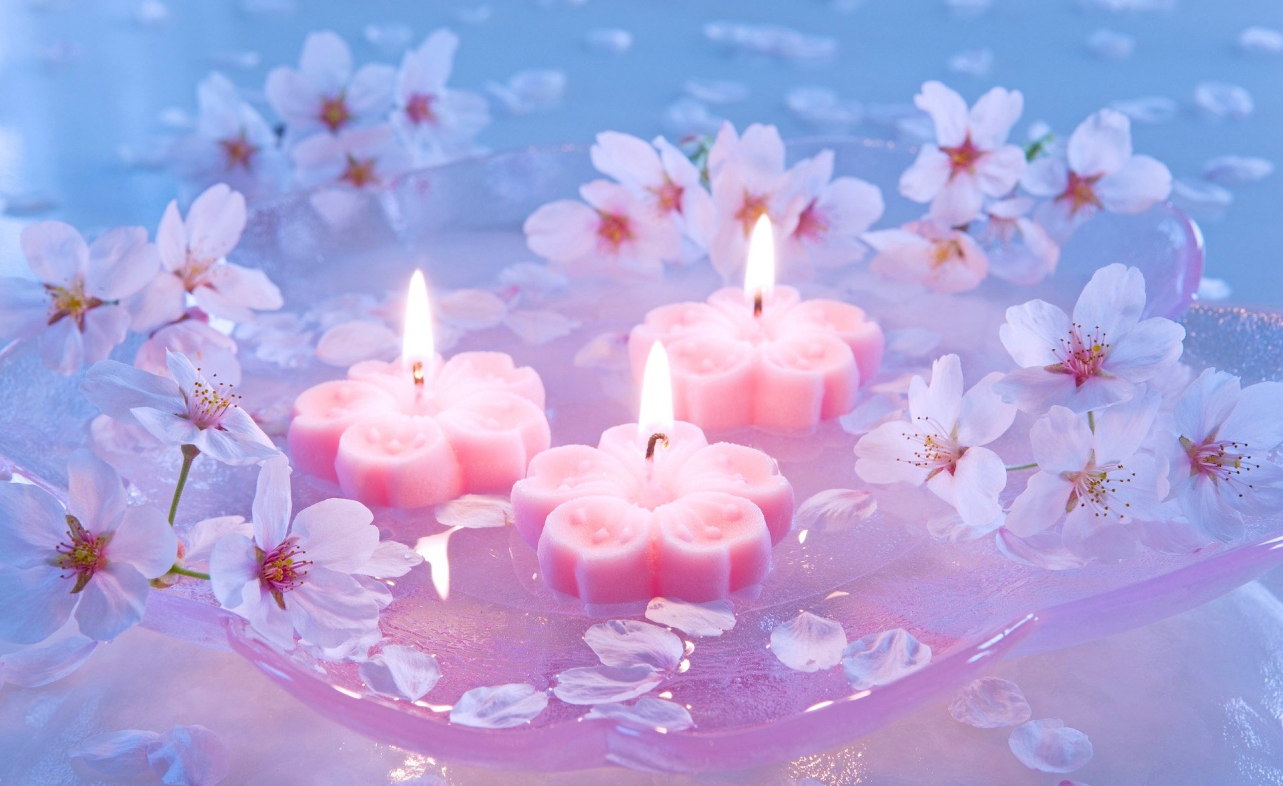 Candles And Cherry Flowers X Close