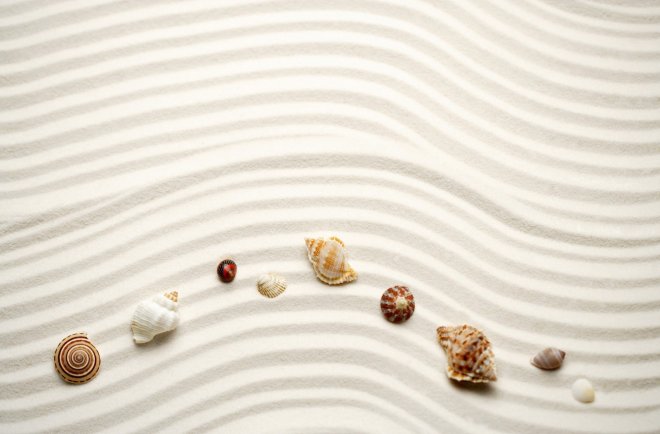 Beach Sand Sea Shell Wallpaper Pre Jpg