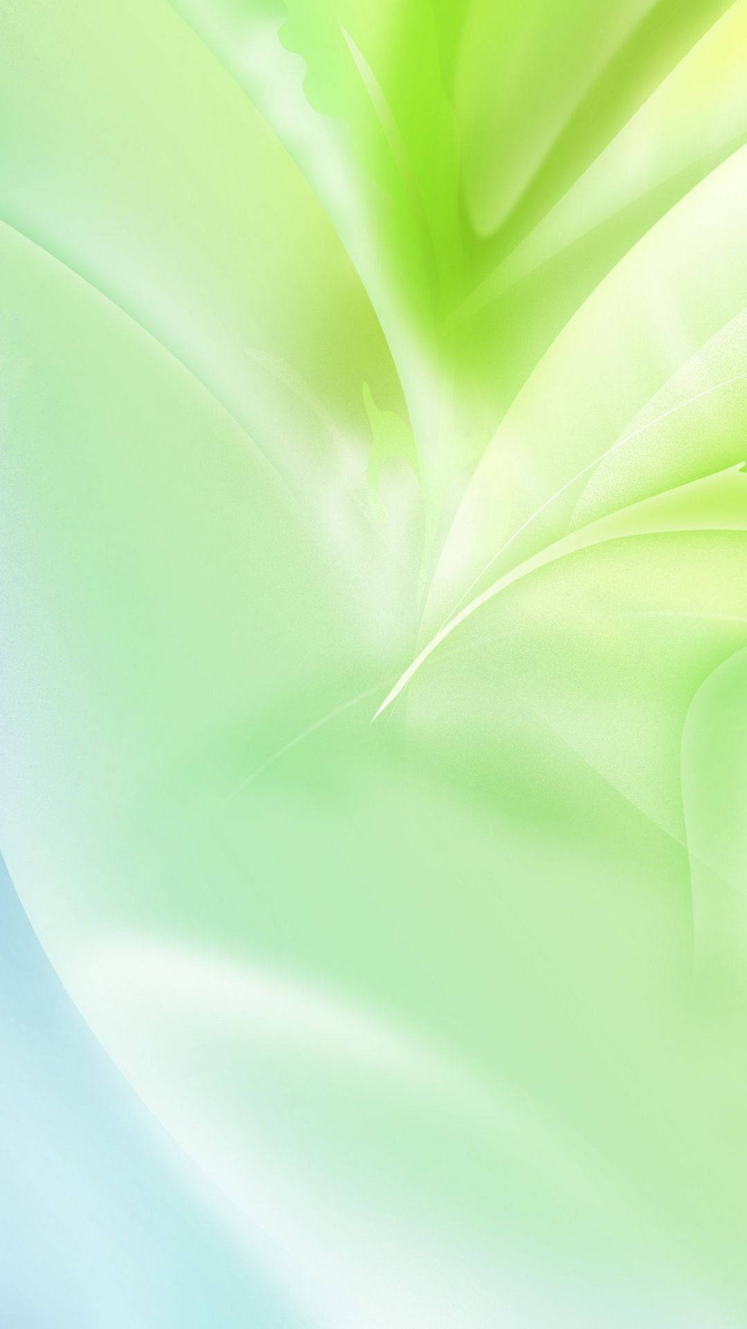 Light Green Aesthetic Wallpaper