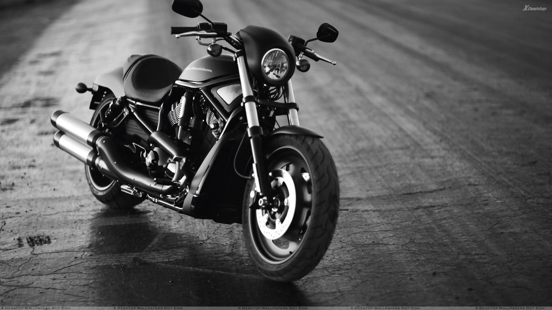 50 Free Harley Davidson Wallpapers Hd for PC