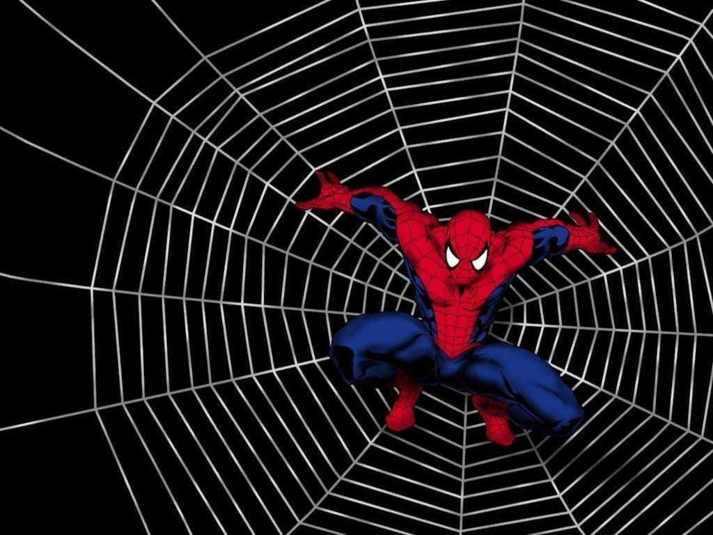 HD Spider Man Wallpaper Superhero Hollywood Marvel Amazing