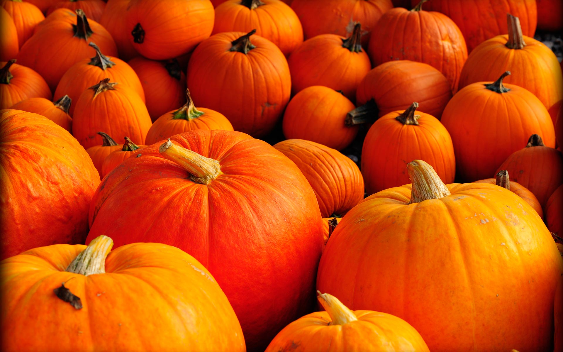 Fall Wallpaper Backgrounds with Pumpkins - WallpaperSafari