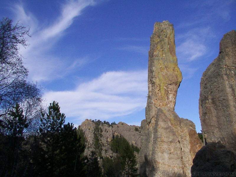 Custer State Park In The Black Hills Of South Dakota Photos