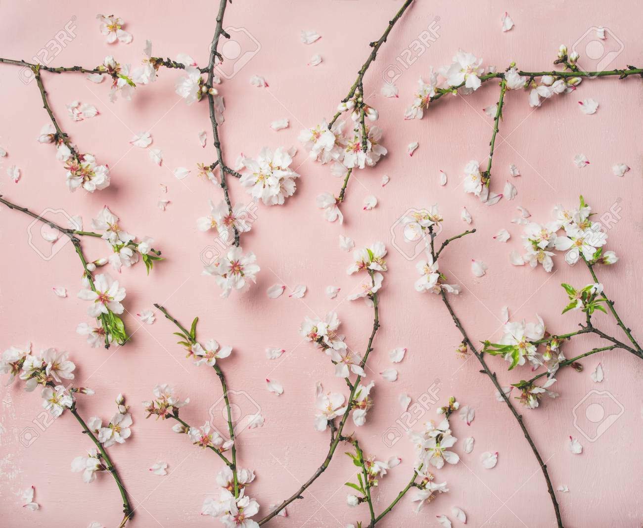Spring Floral Background Texture And Wallpaper Flat Lay Of