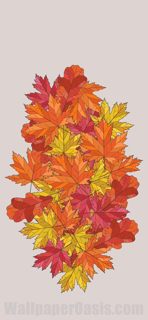 Colorful Fall Leaves iPhone Wallpaper