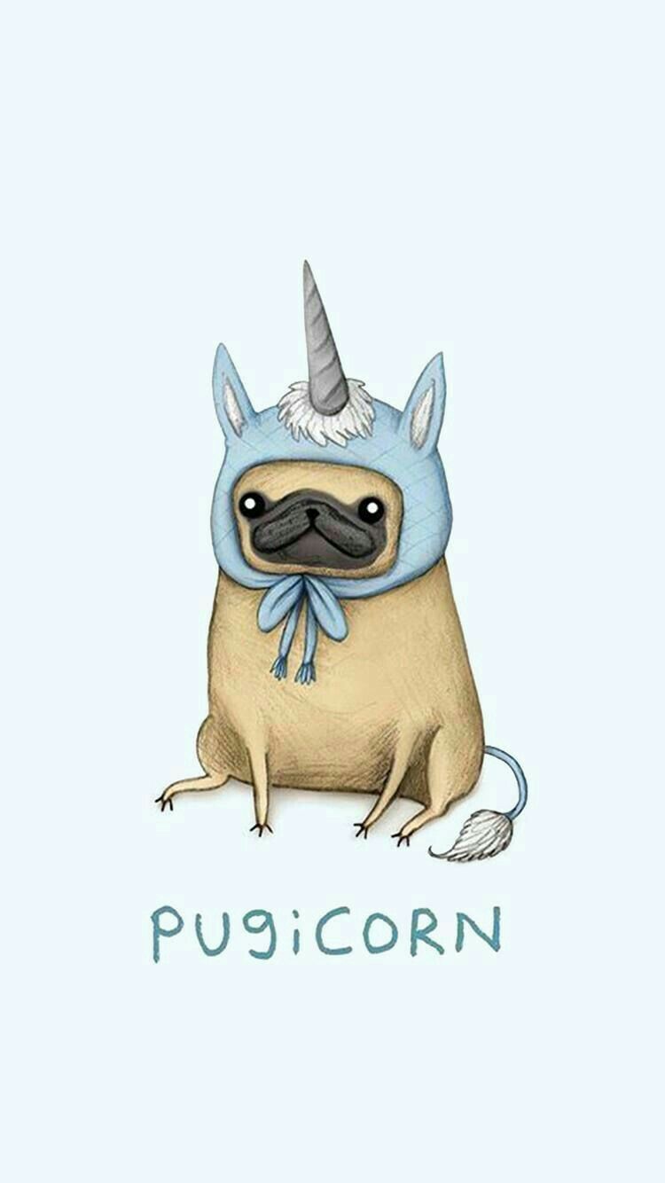 The Unique One Candy Pugs Pug Wallpaper Funny