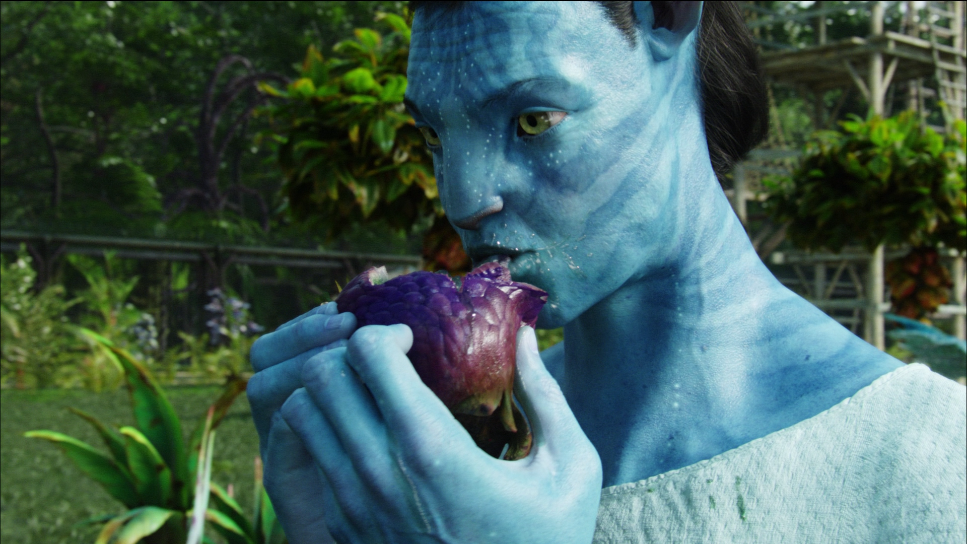 Avatar 1080p Wallpaper