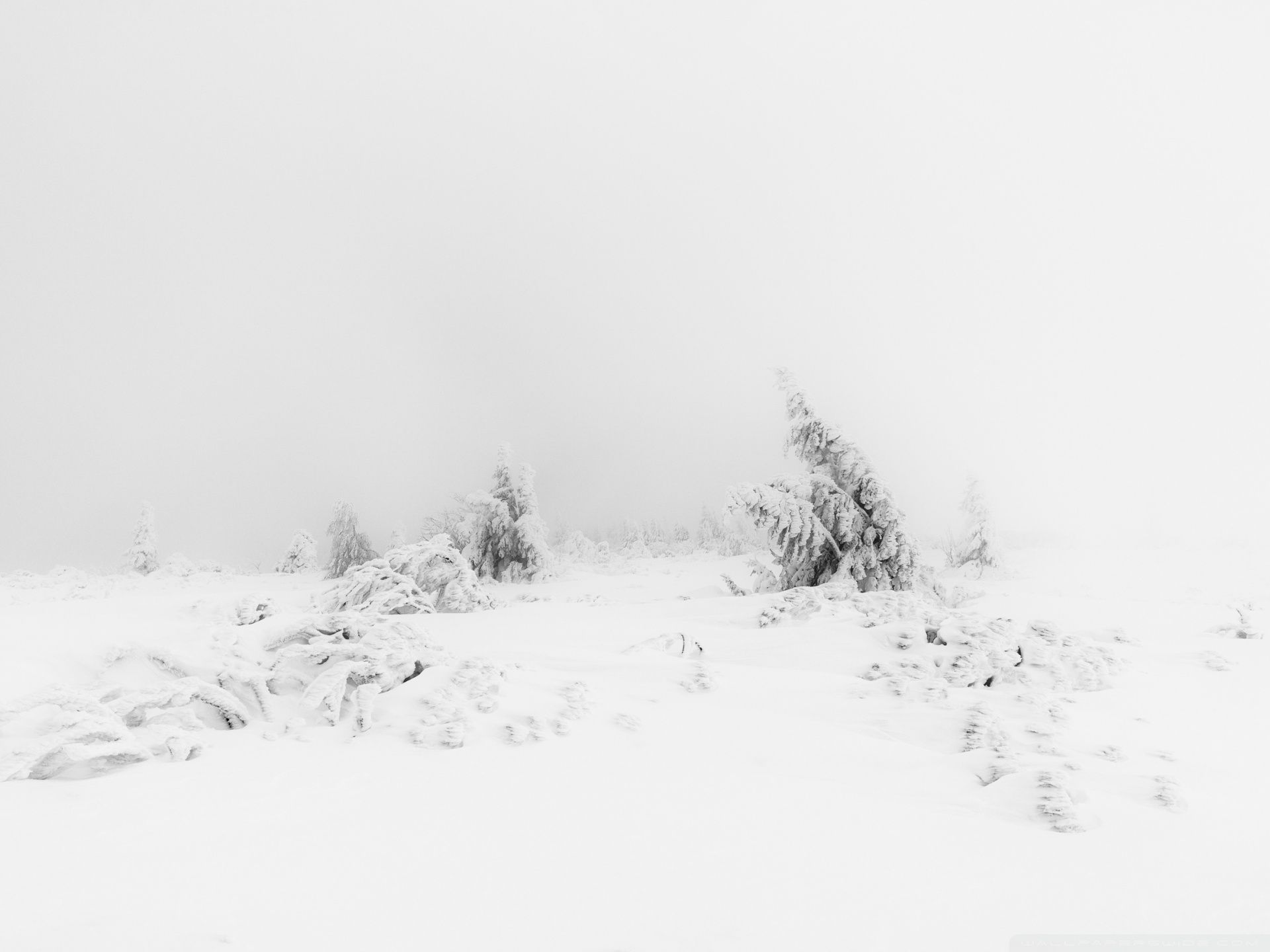 Snow Aesthetic Wallpaper