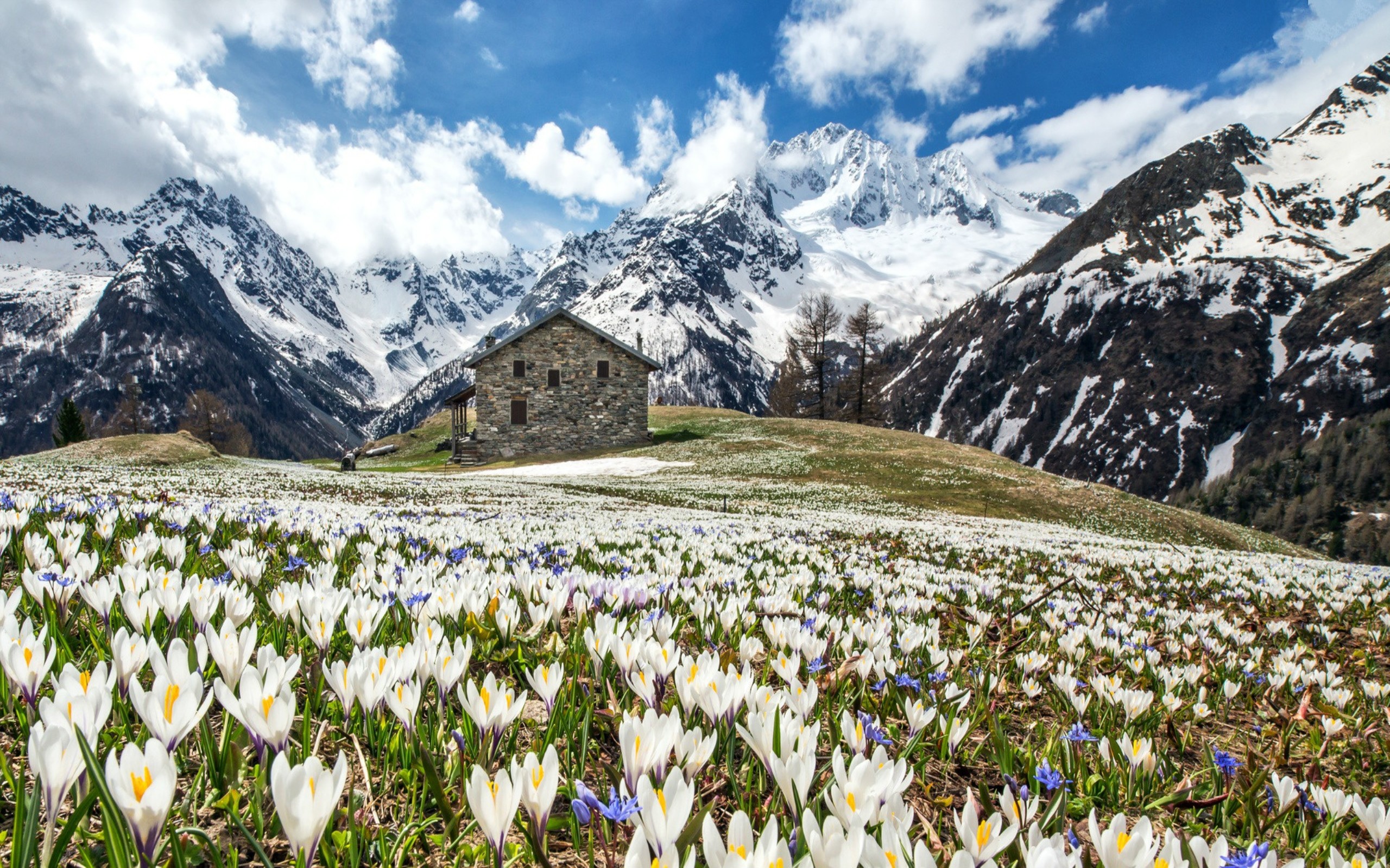 Spring in the Alps HDwallpaperUP