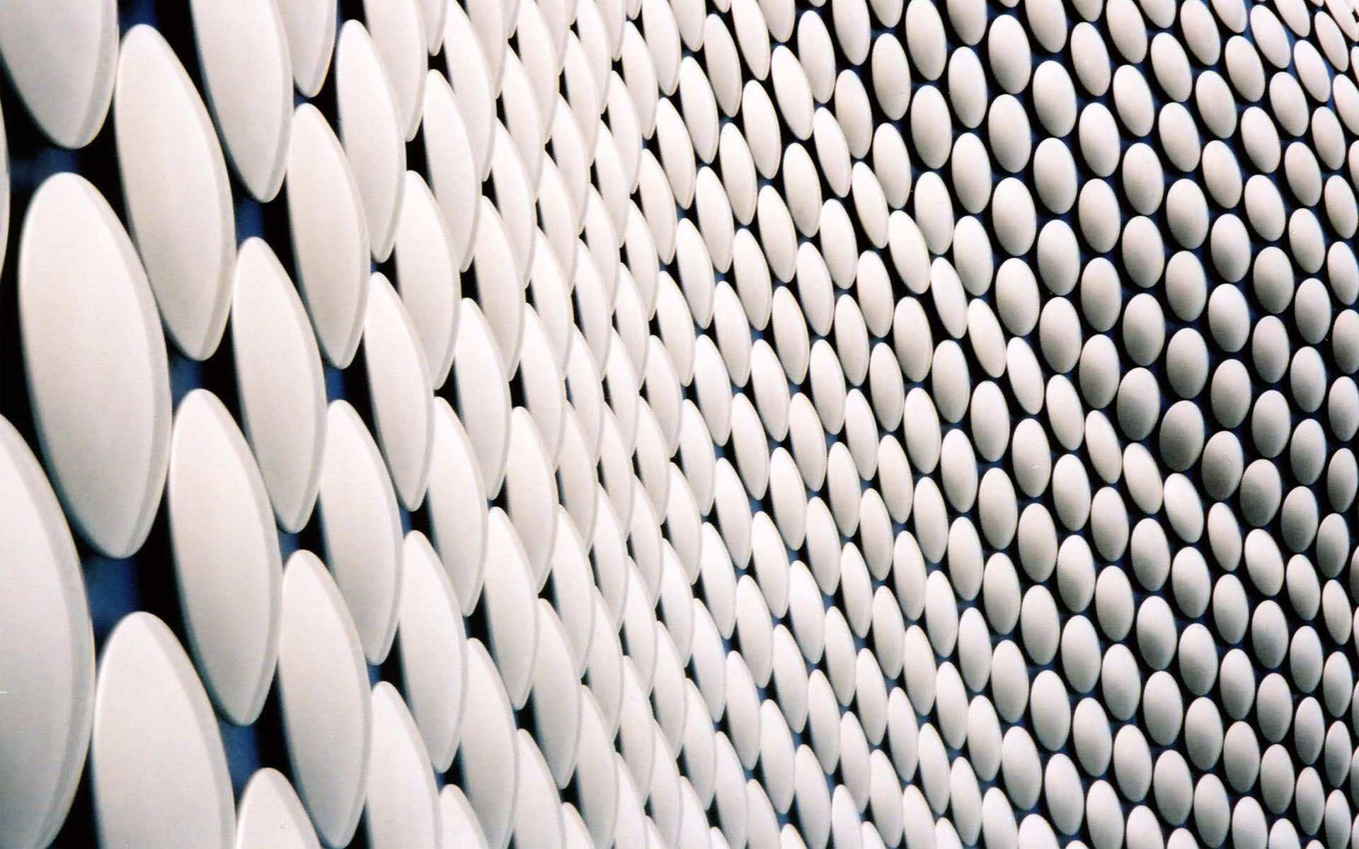 White Wallpaper For Desktop And Mobile