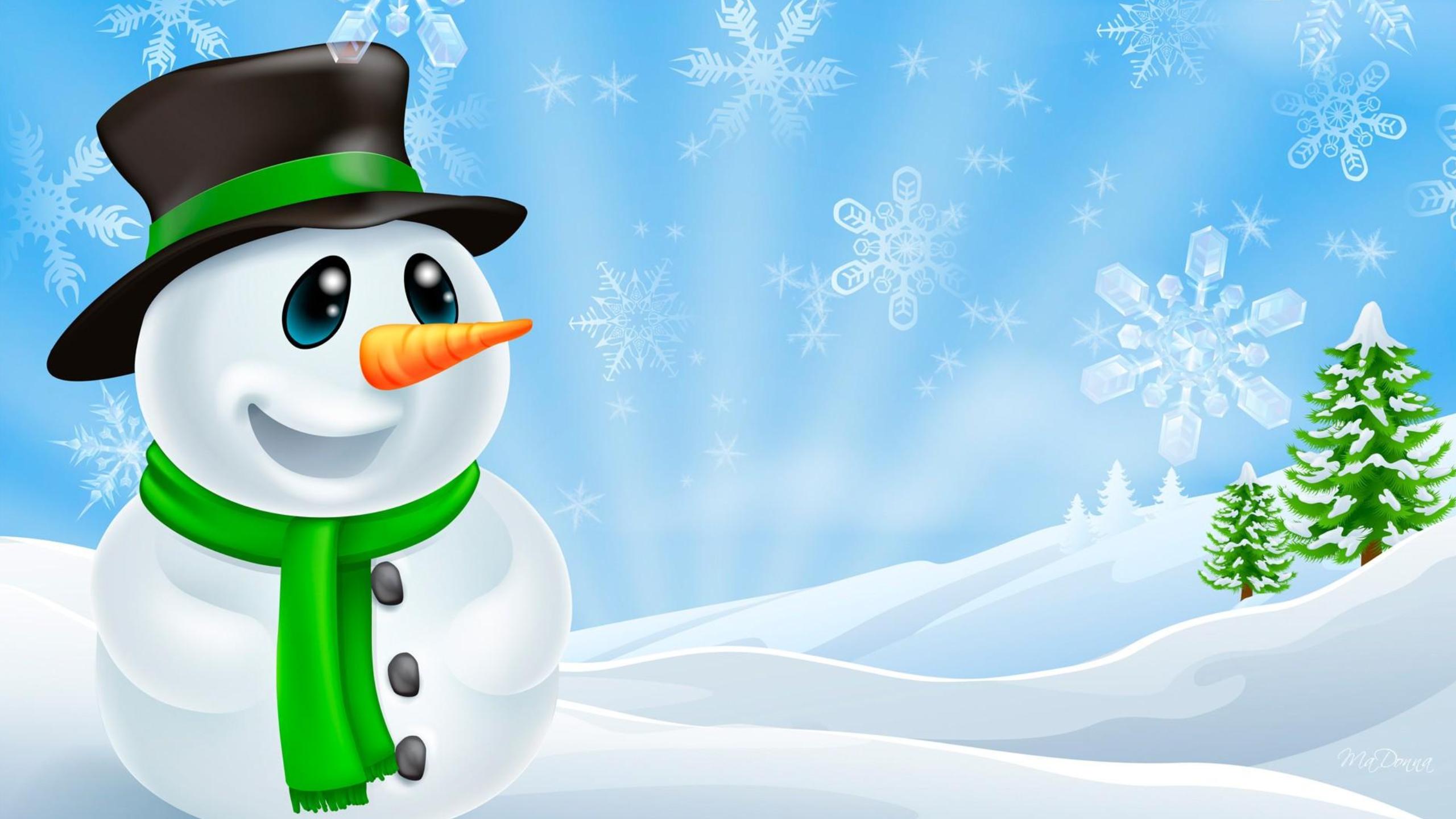 Beautiful Snowman Full HD Wallpaper Wallpapers HD Images Gallery