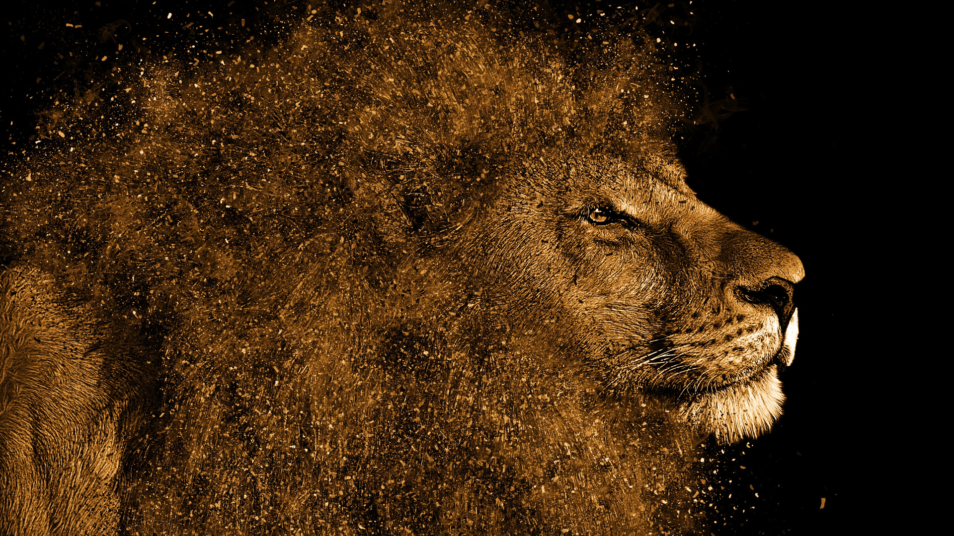 Majestic lion portrait in 4K resolution with a golden, dusty effect. Perfect for a wallpaper