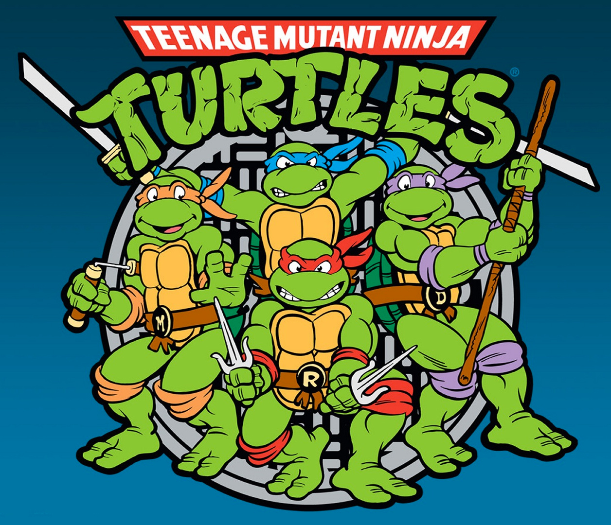 Teenage Mutant Ninja Turtles High Definition Widescreen
