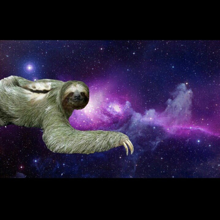 sloth wallpaper galaxy