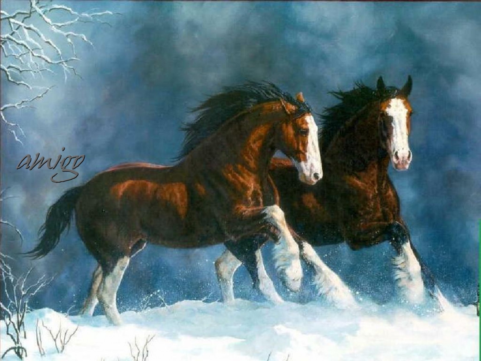 Wallpaper Paarden