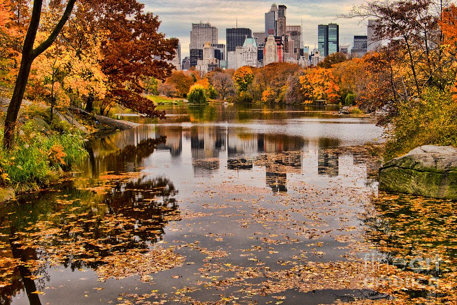 Central Park In The Fall New York City Sabine Jacobs Jpg