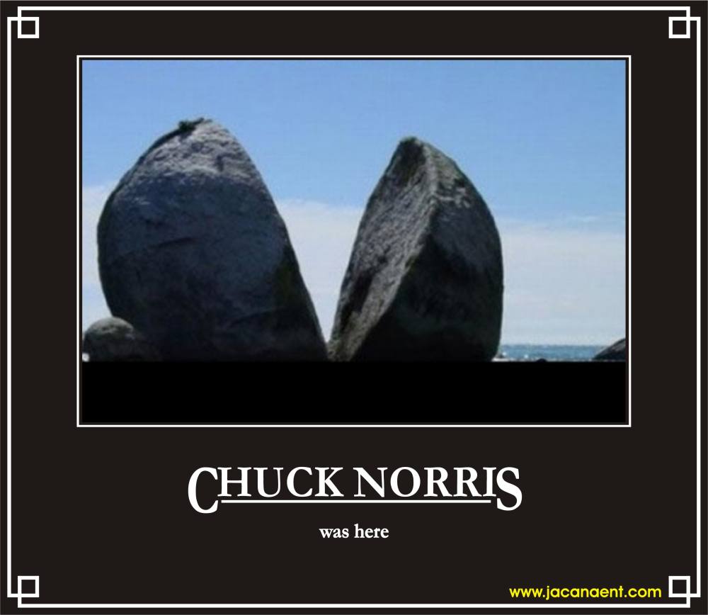 Back Gallery For Funny Chuck Norris Wallpaper