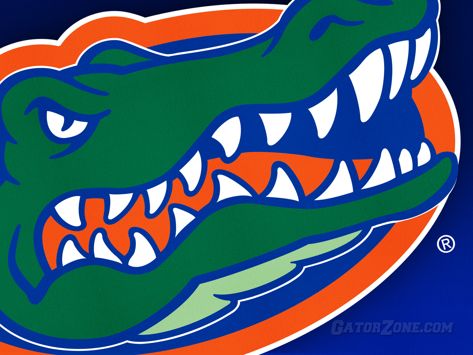 Gators Gator Gatorzone Hd Desktop Background Wallpaper