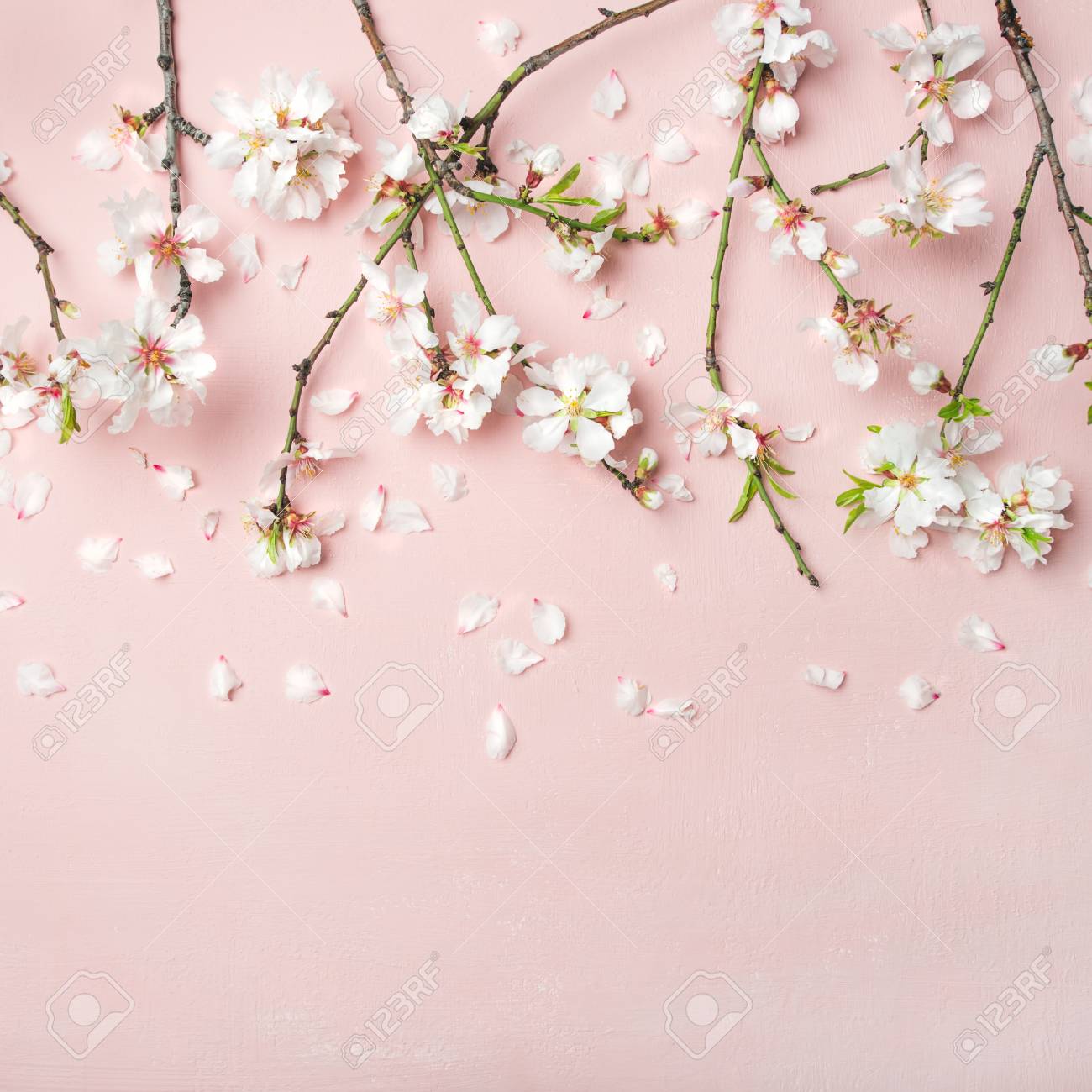 Spring Floral Background Texture Wallpaper Flat Lay Of White