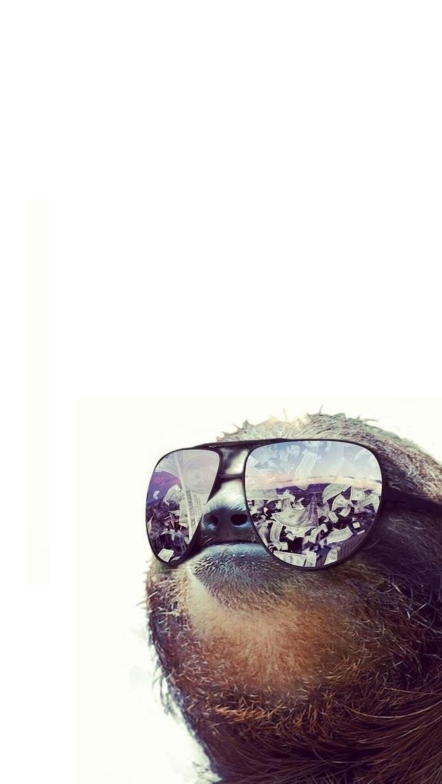Cool Money Sloth iPhone Wallpaper