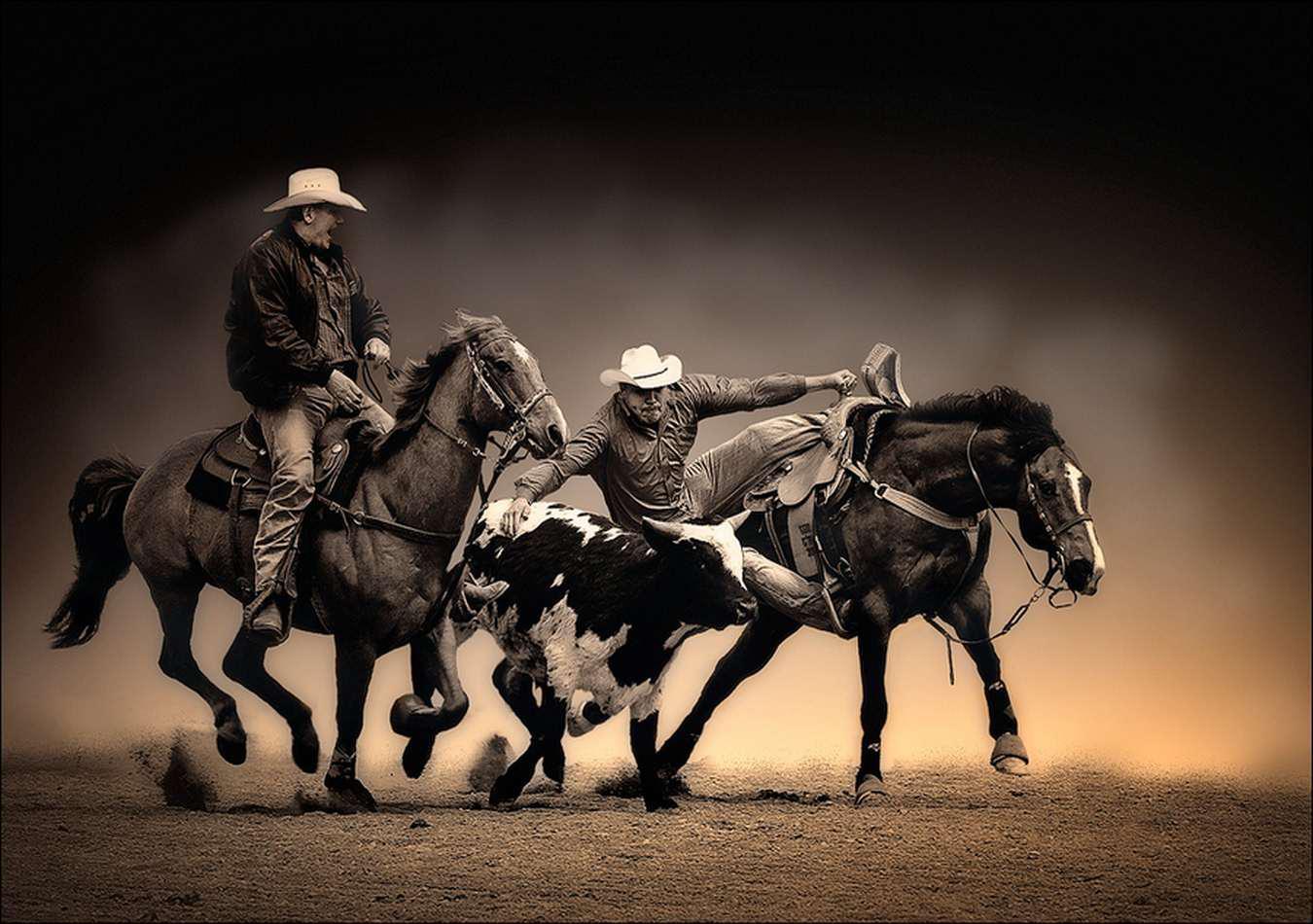 Rodeo Wallpaper