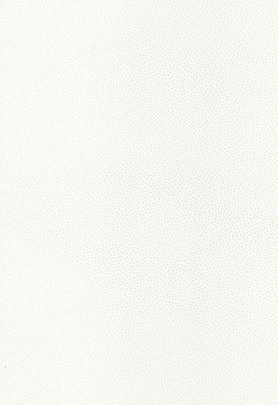 Shagreen Schumacher Wallcovering White Pearl Modern Glamour Book
