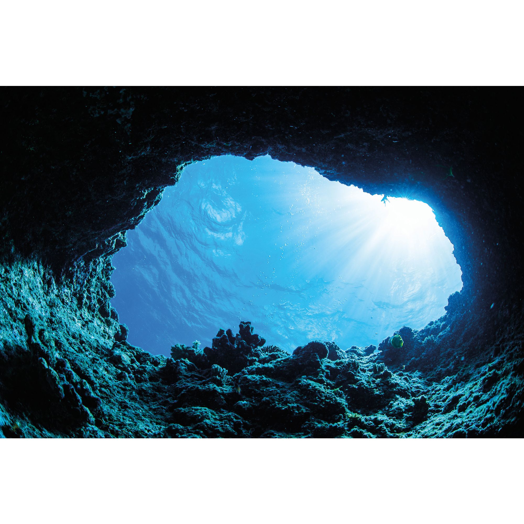 Top Fin Cave Ocean Floor Reversible Aquarium Background Fish