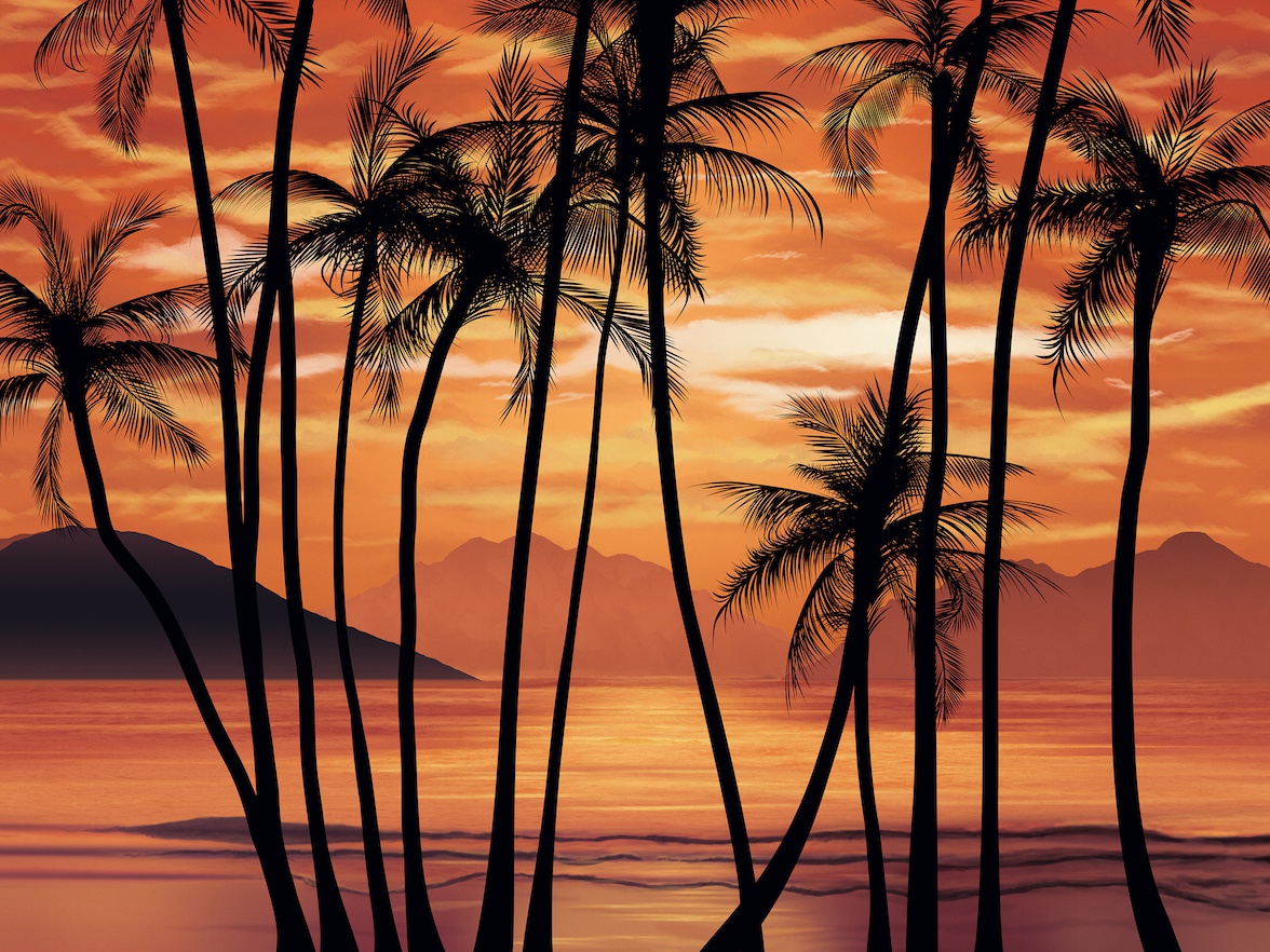 Scarface inspired tropical wallpaper by George Leventidis on Dribbble 1176x882