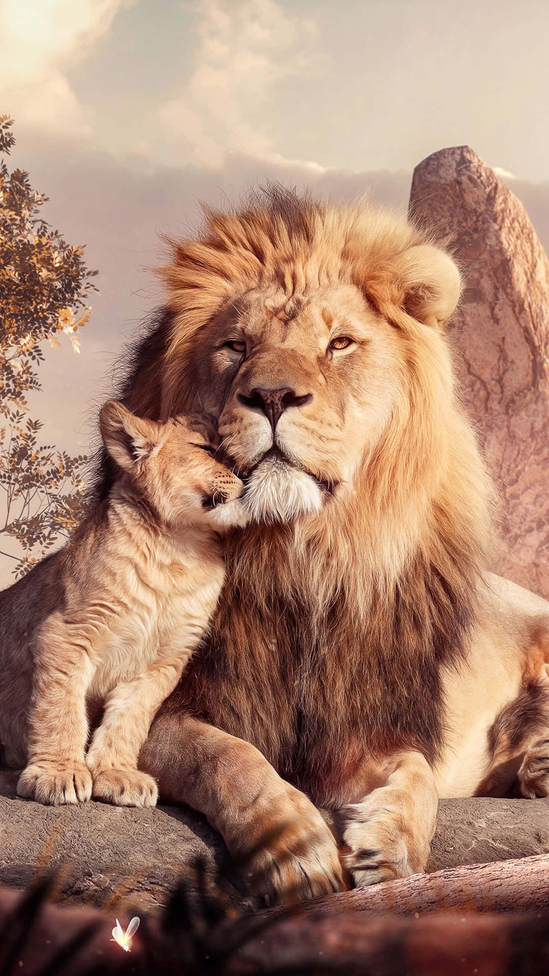 Baby Lion Background Wallpaper