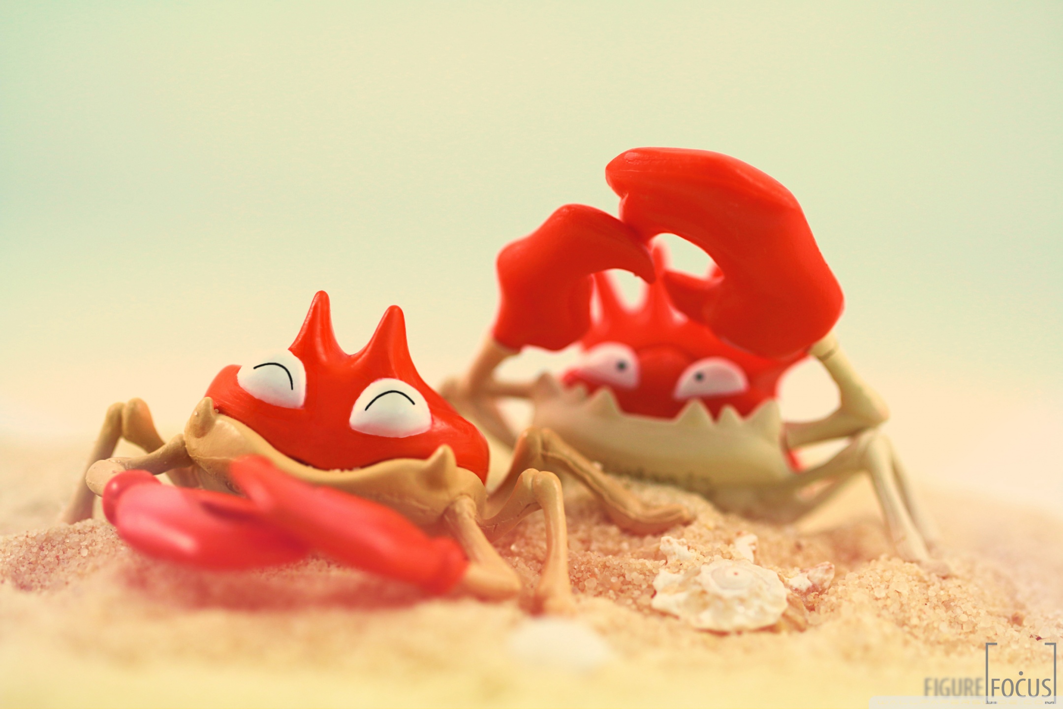 Funny Crabs 4k HD Desktop Wallpaper For Ultra Tv Wide
