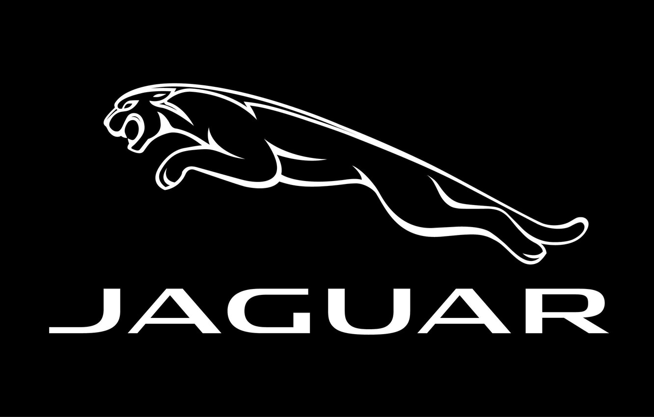 Wallpaper Black Jaguar Logo Fon Image For Desktop