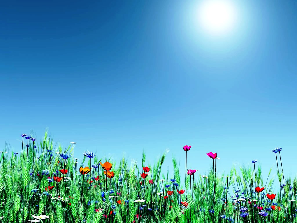 Desktop Wallpaper Spring Flowers For Your