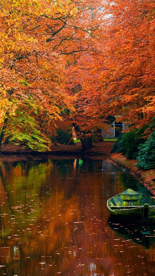 Lake In Autumn Landscape iPhone Wallpaper