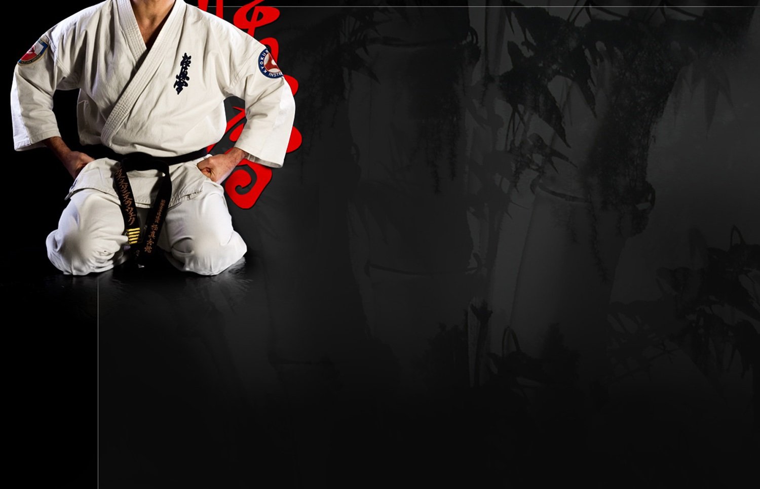 Kyokoshin karate wallpaper 1500x966 282652 WallpaperUP