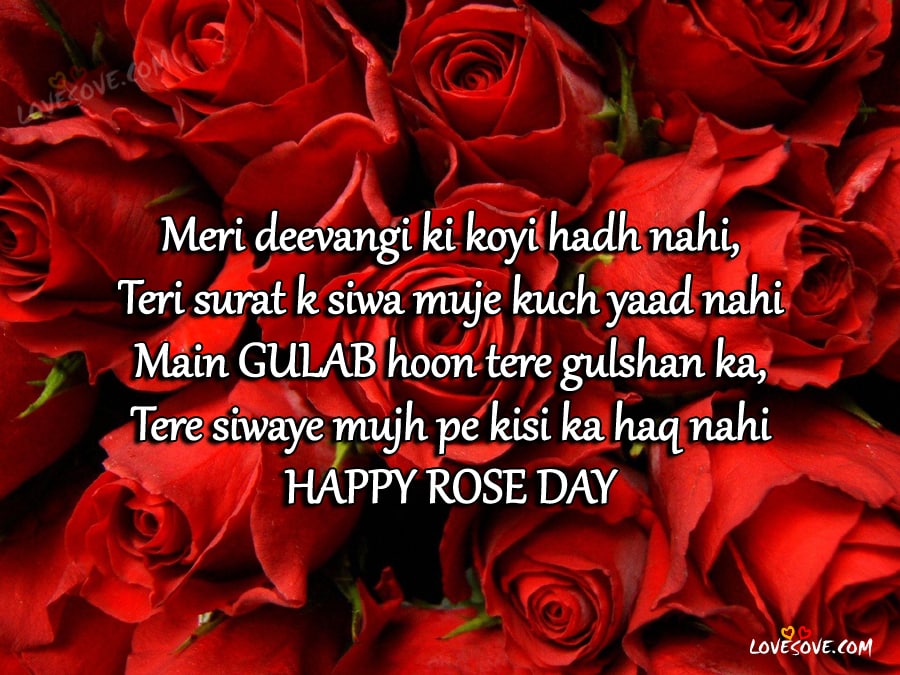 Happy Rose Day Shayari Image Pics Wallpaper Sms Msg