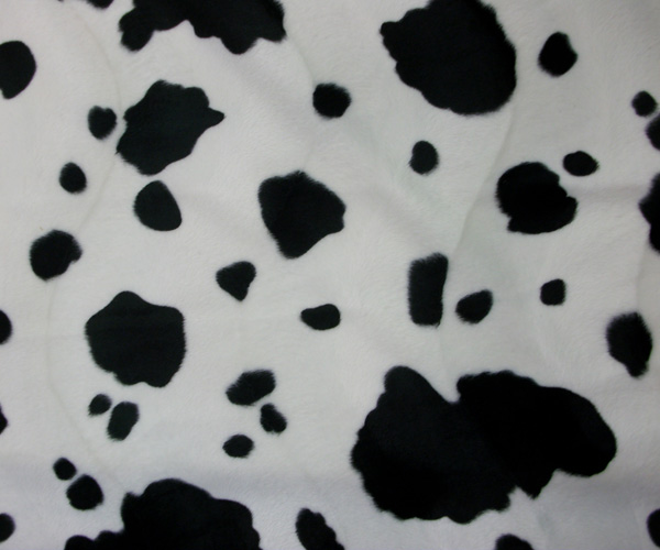 Pin Black Cow Print Wallpaper