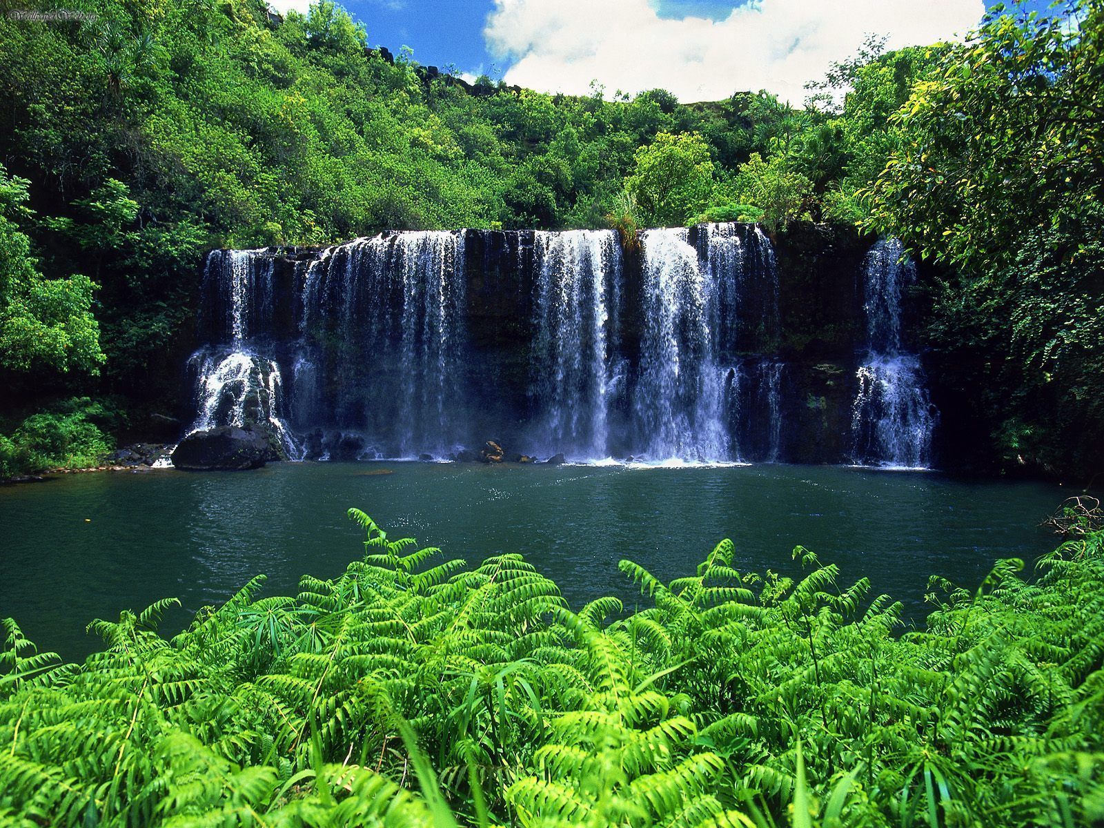 Kauai Waterfalls The Garden Island Wallpaper