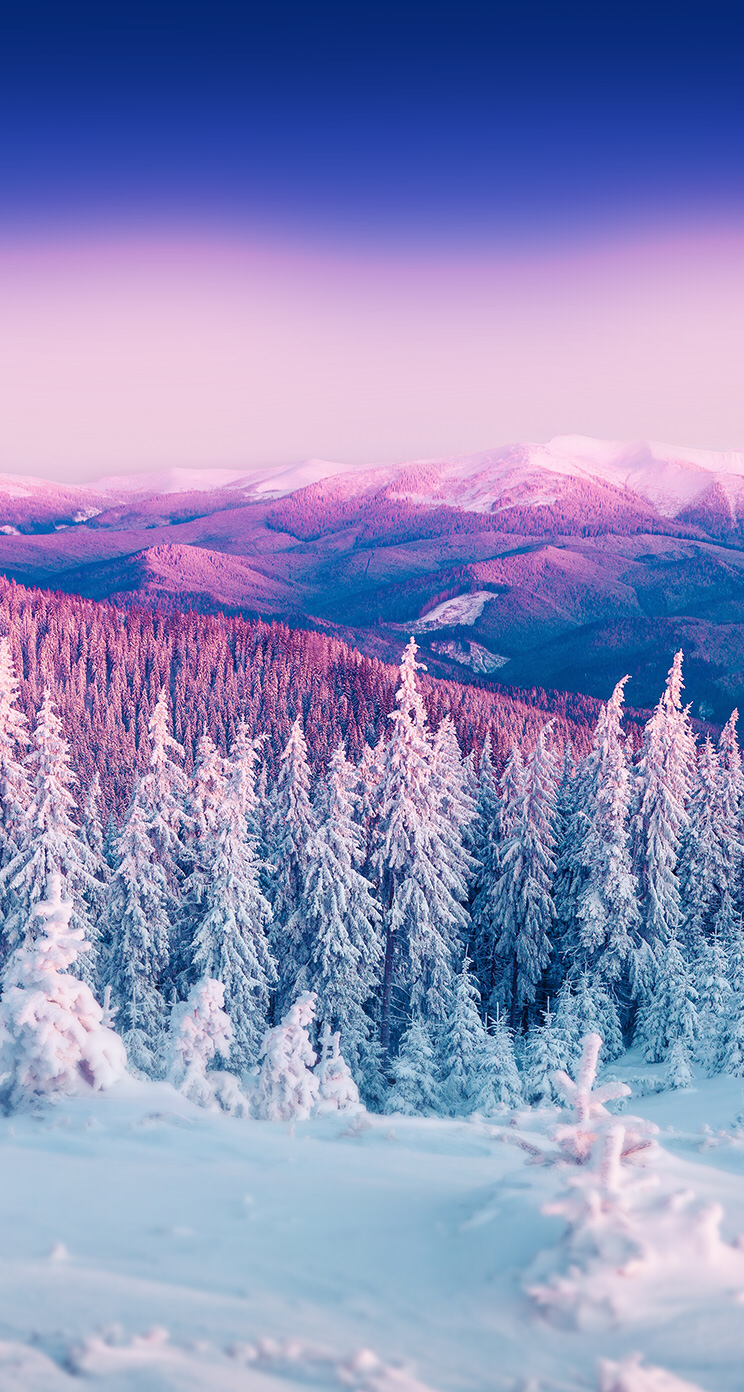 C86f50391f13e7778d8f2c13923efa05 Wallpaper