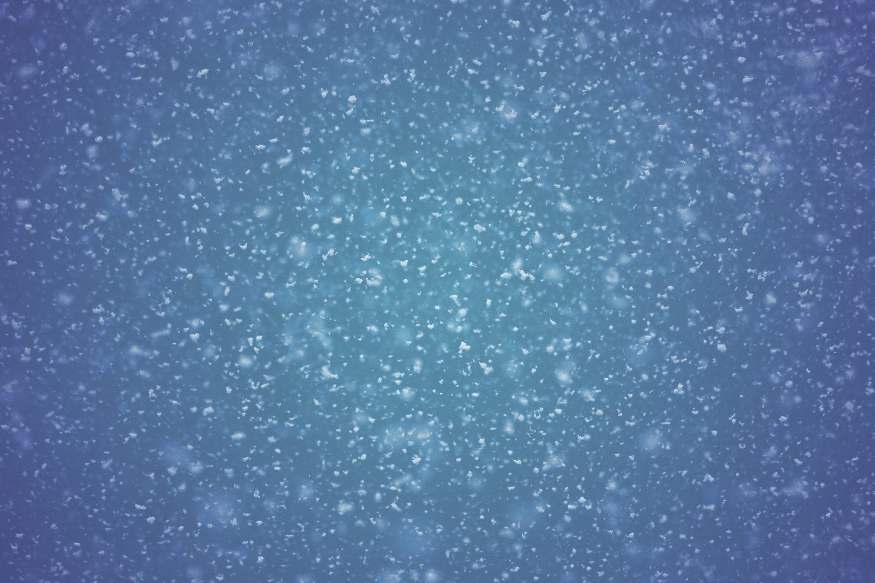 Falling Snow Wallpaper Grasscloth