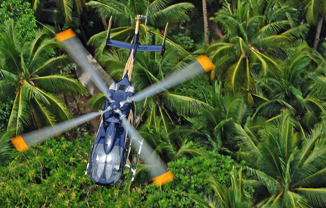 Wallpaper Jungle Flight Helicopter Blades Multipurpose