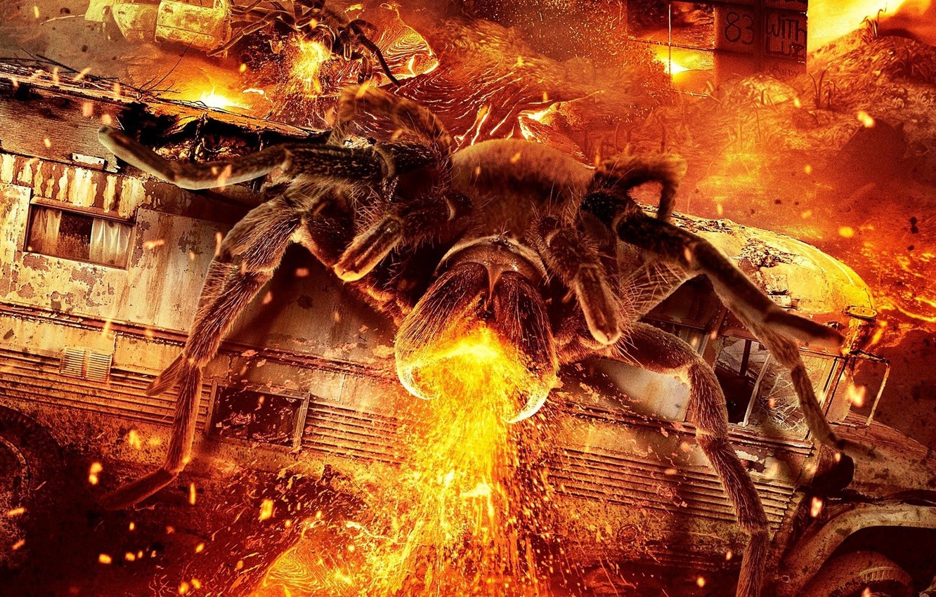 Wallpaper City Cinema Spider Fire Flame Chaos Movie Animal