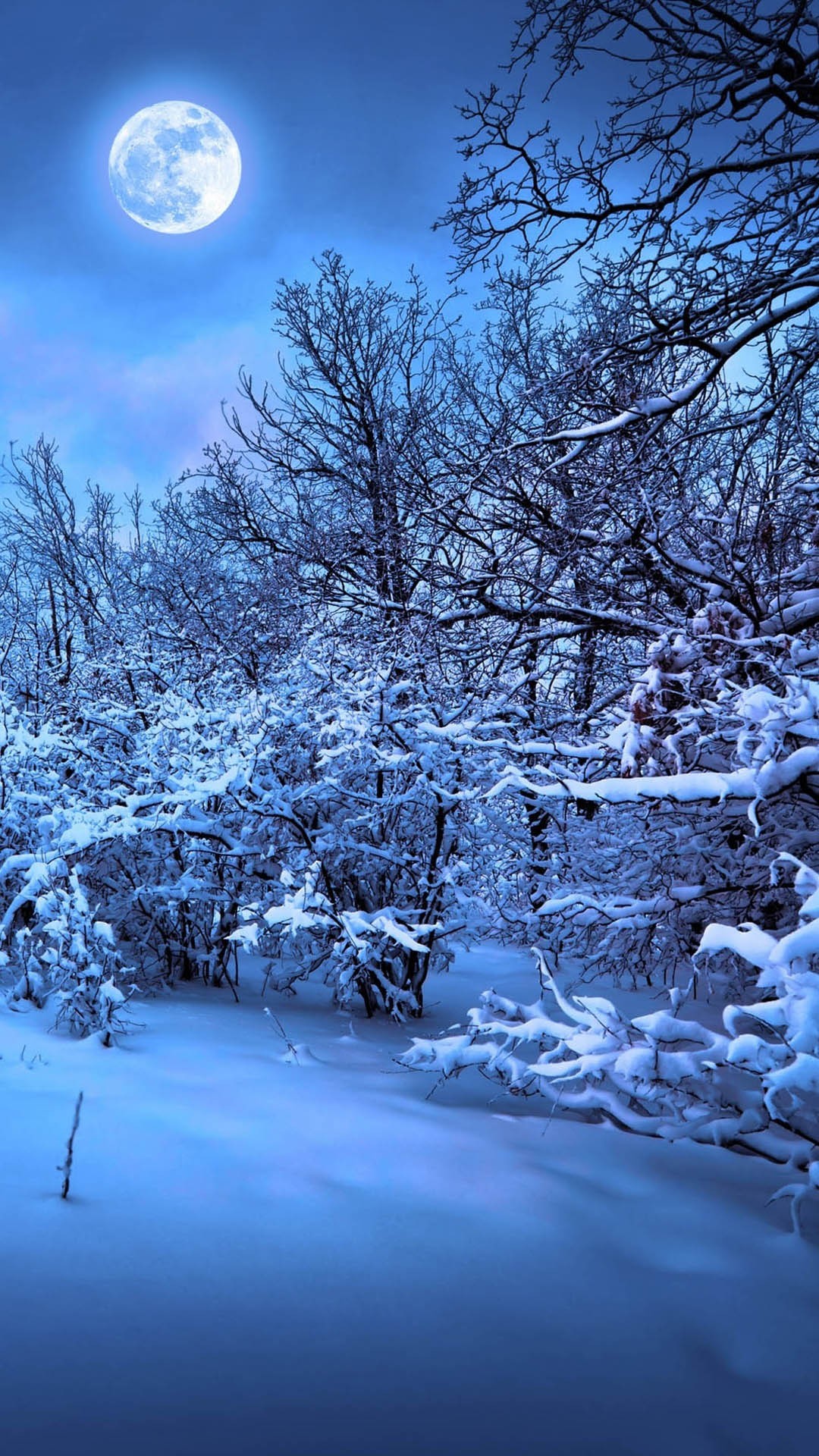 Winter Solstice Wallpaper