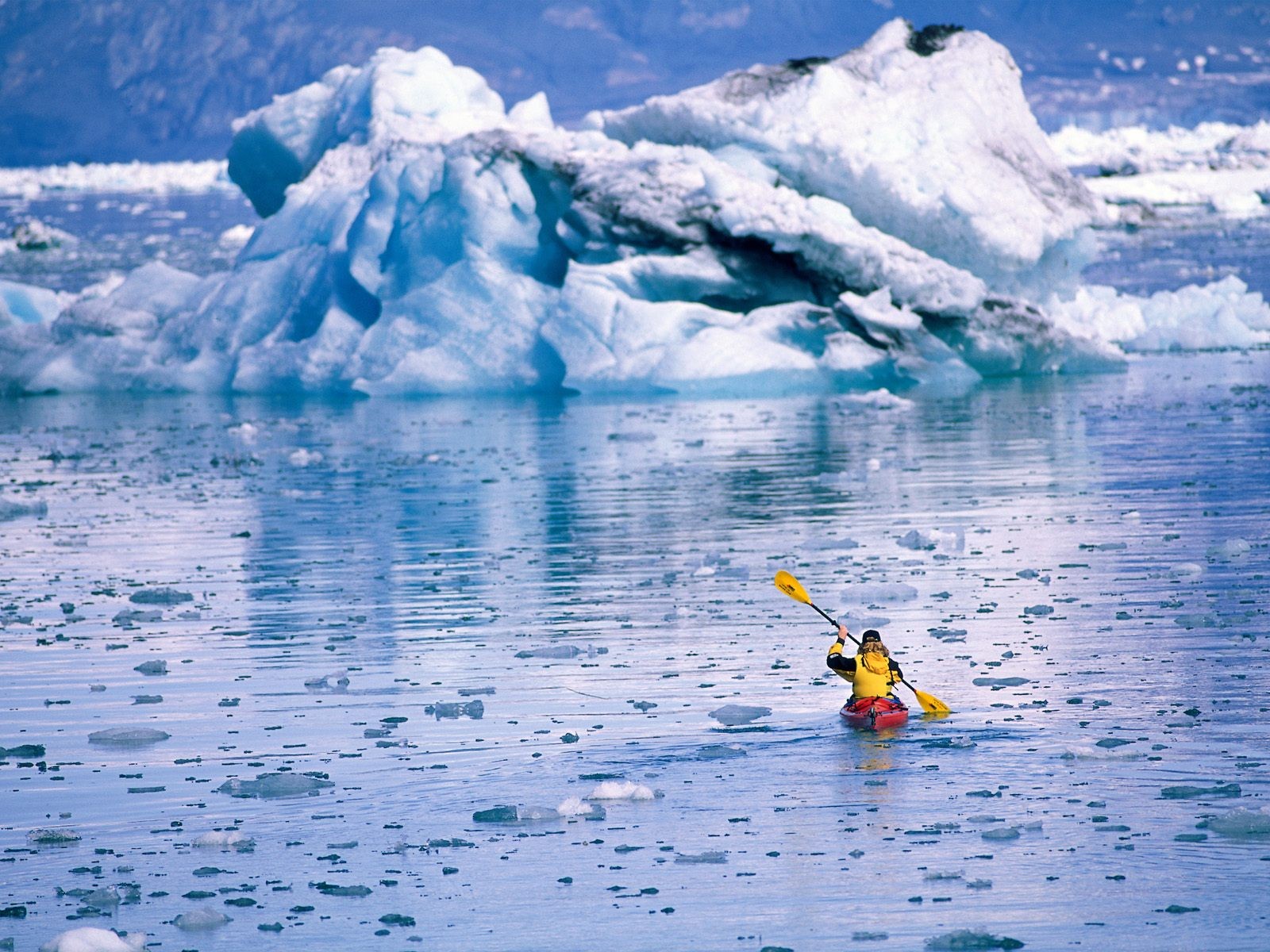 Icebergs Kayak Wallpaper Wallpoper