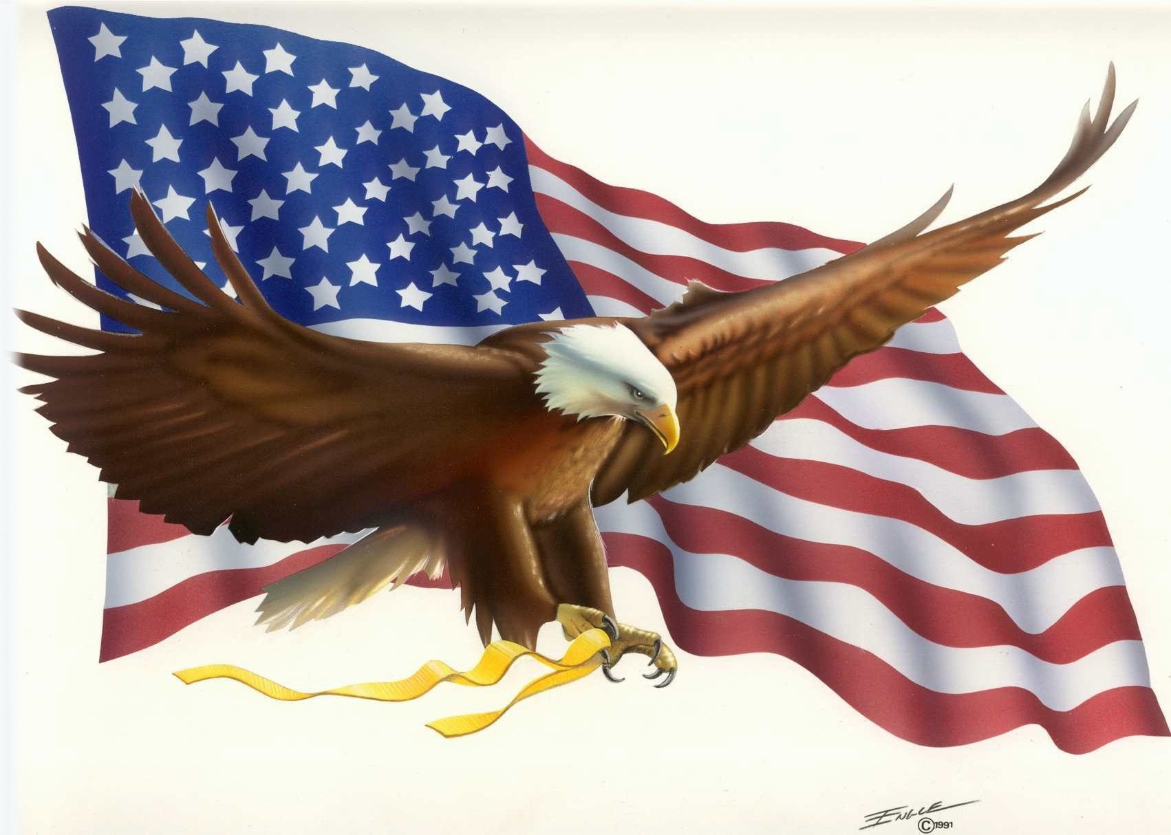 Eagle Flag Engle Bob Free Images at Clkercom   vector clip art
