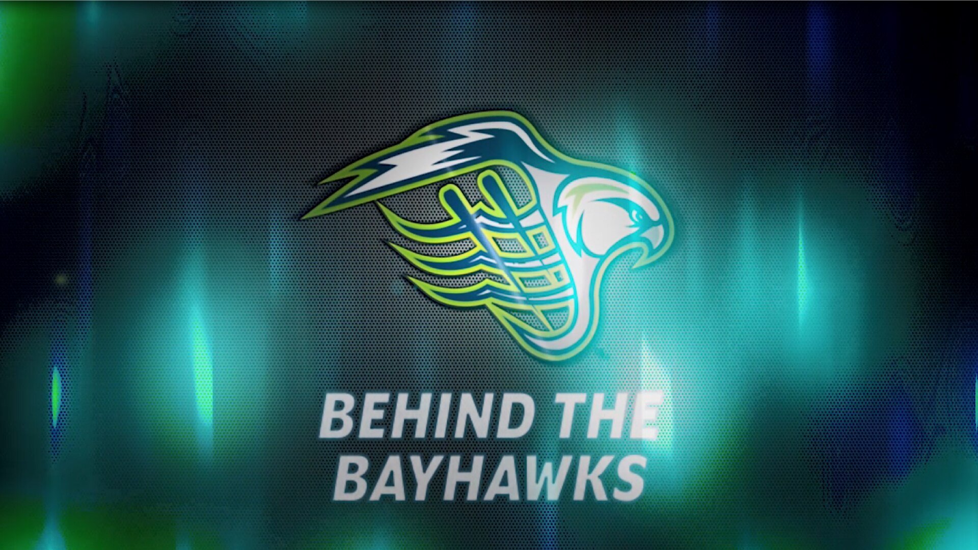 0000015c D76c Df62 A37c F77d94000000 Chesapeake Bayhawks