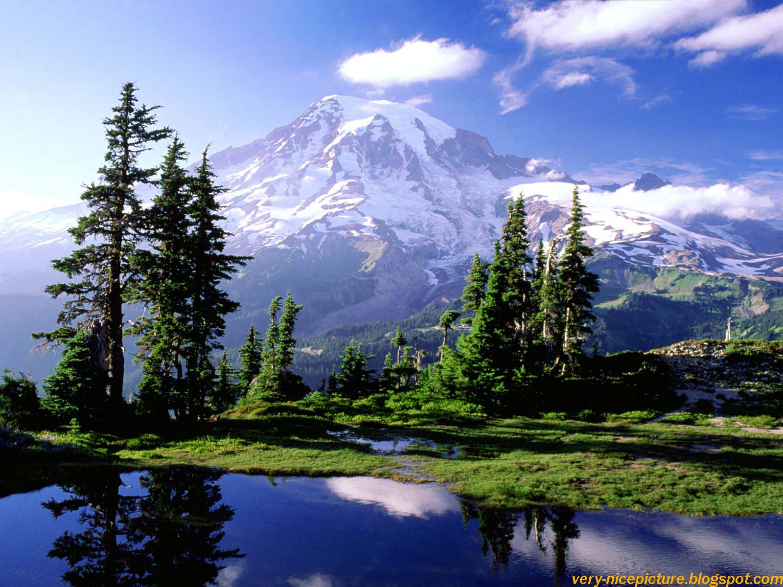 A breathtaking landscape of Mount Rainier reflected in a calm alpine lake, surrounded by lush greenery and evergreen trees