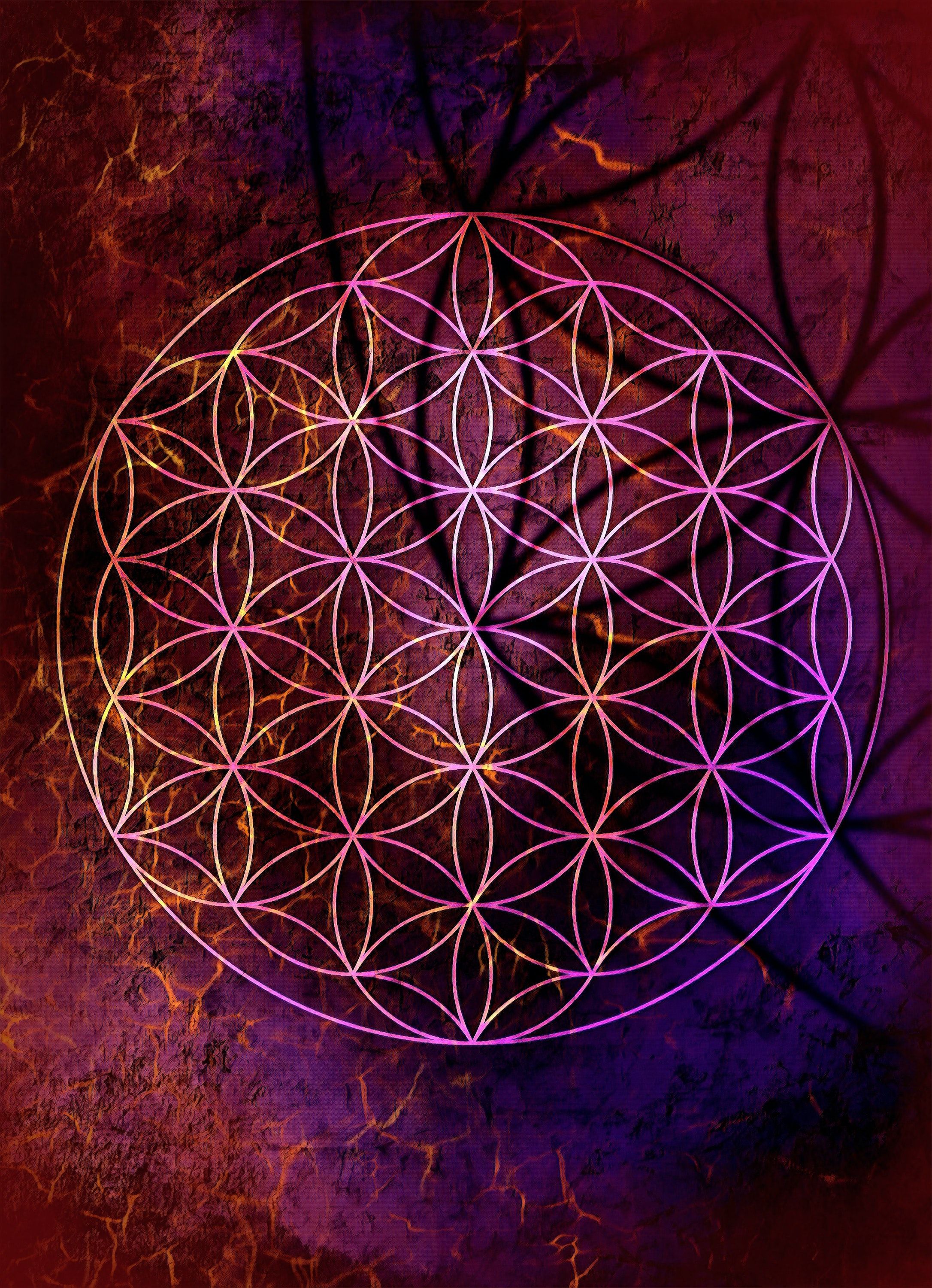 Flower Of Life Wallpaper